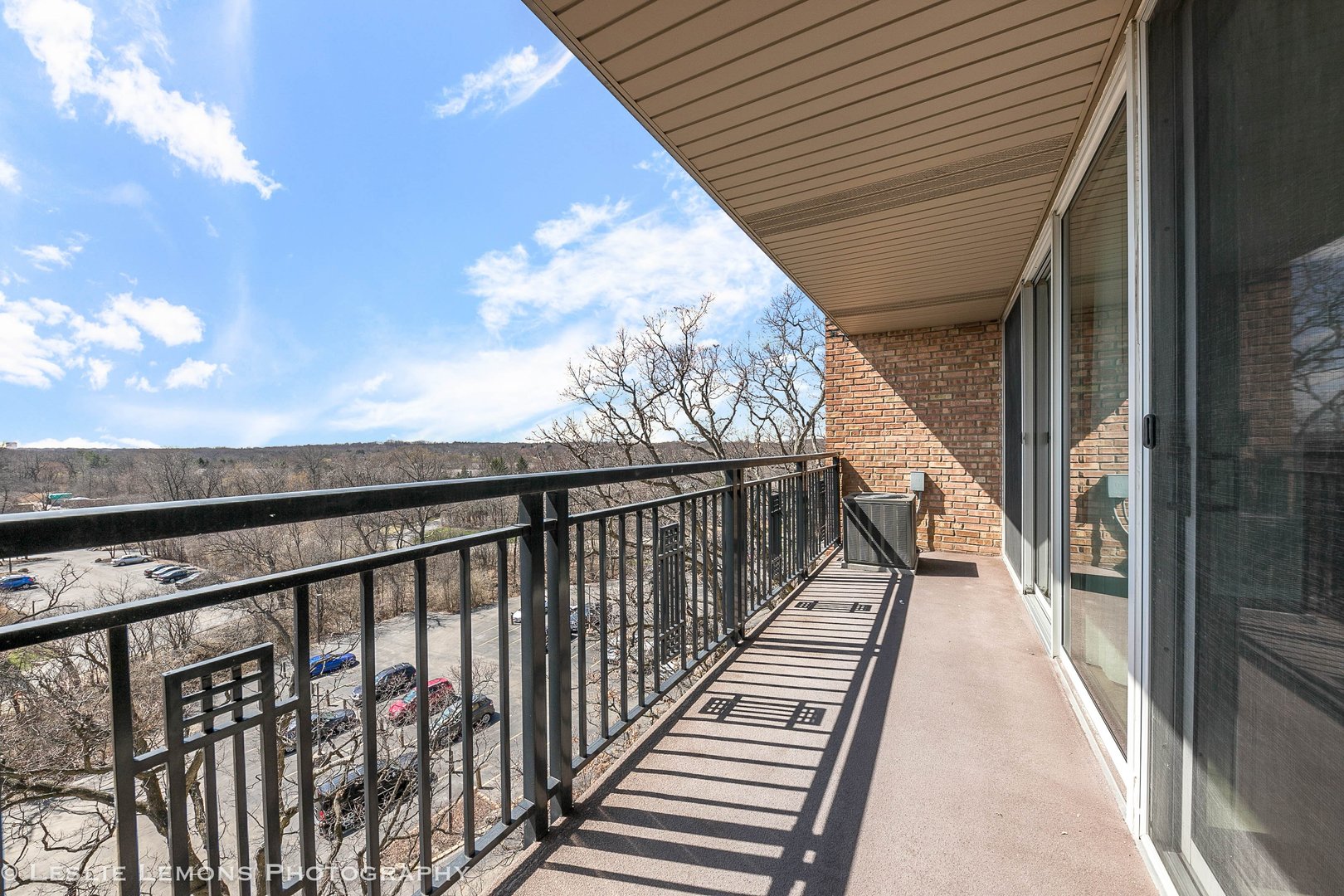 5950 Oakwood Drive #6A, Lisle, IL 60532