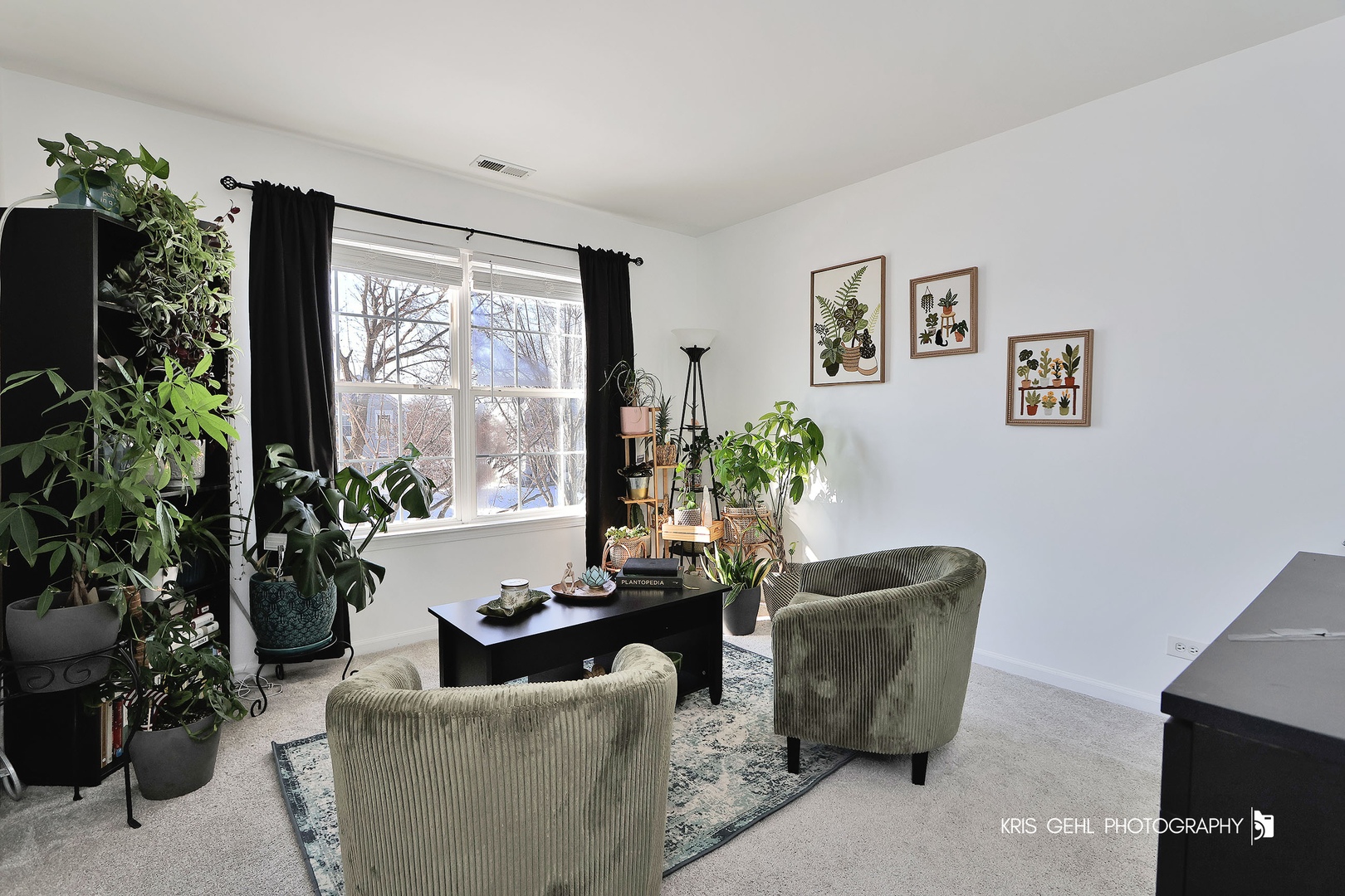 91 Rotterdam Drive, Antioch, IL 60002