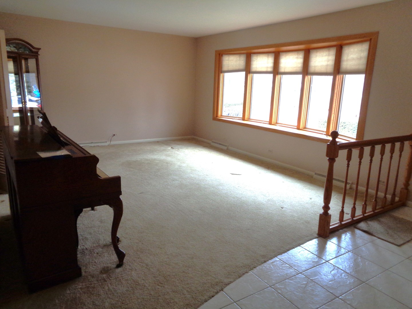 1815 E Grove Street, Arlington Heights, IL 60004