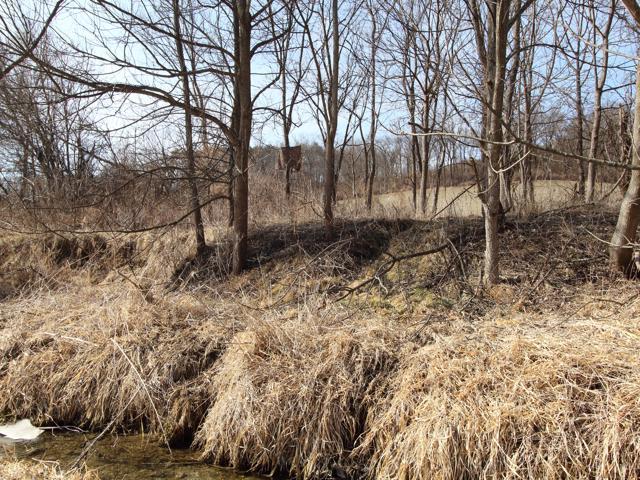 Mt. Carroll, IL 61053