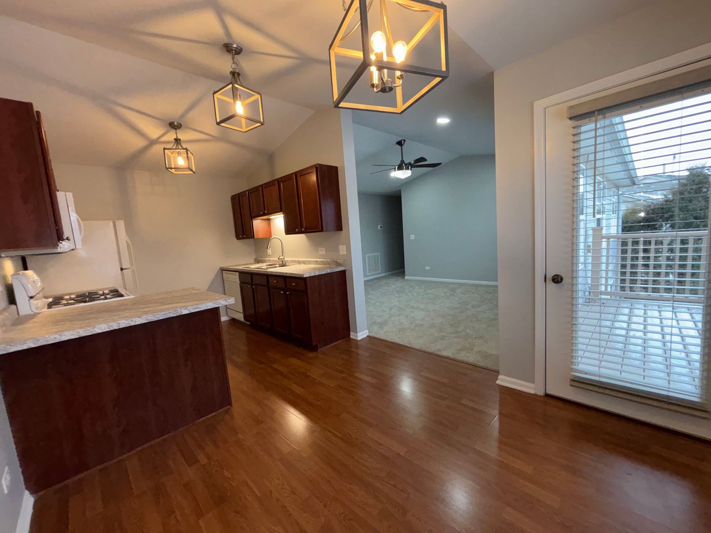 1313 N Red Oak Circle #4, Round Lake Beach, IL 60073