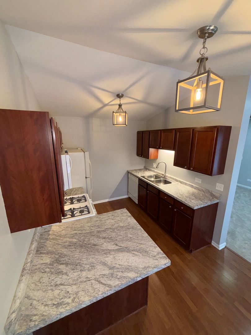 1313 N Red Oak Circle #4, Round Lake Beach, IL 60073