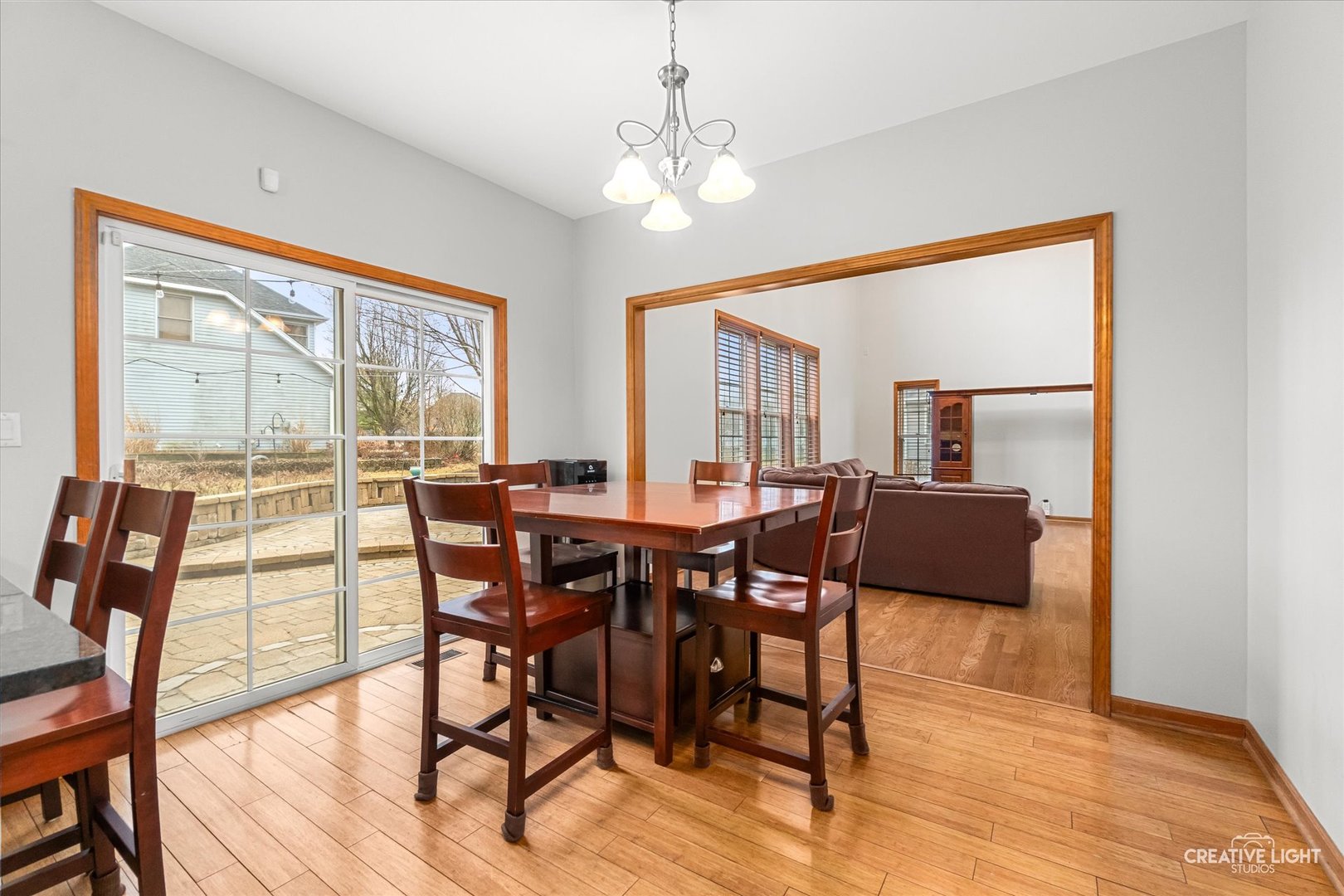 504 Buckthorne Court, Yorkville, IL 60560