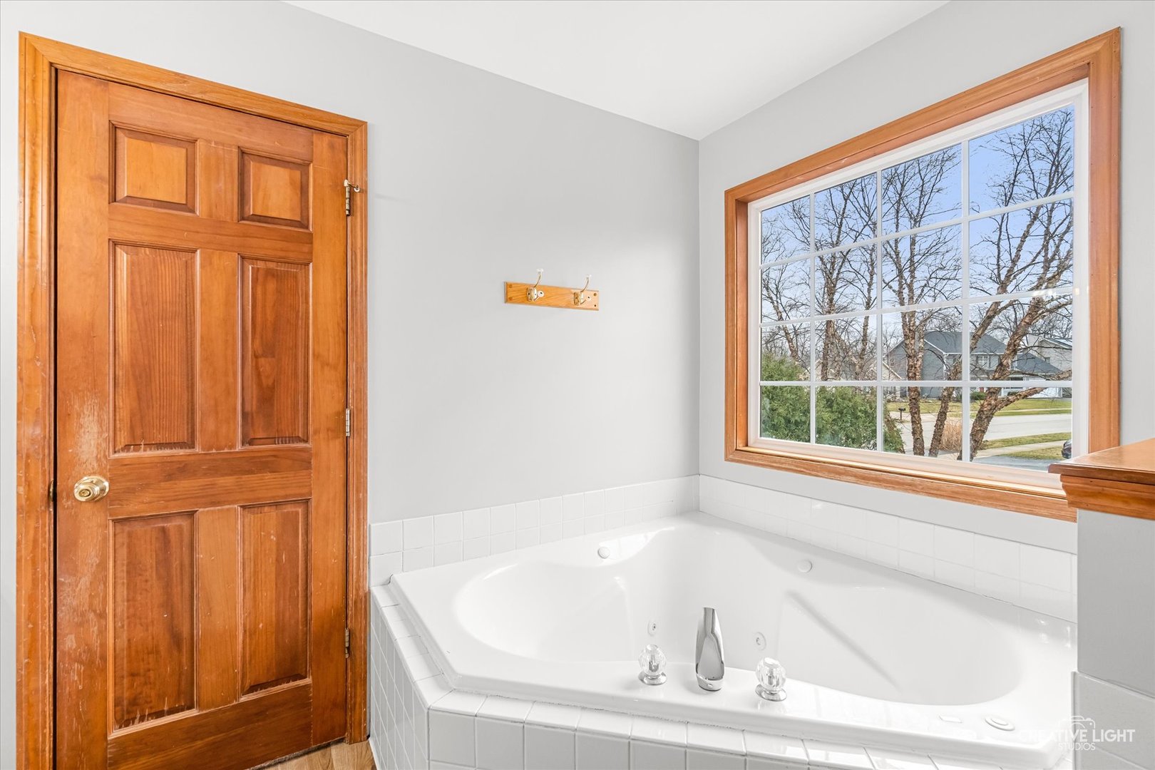 504 Buckthorne Court, Yorkville, IL 60560