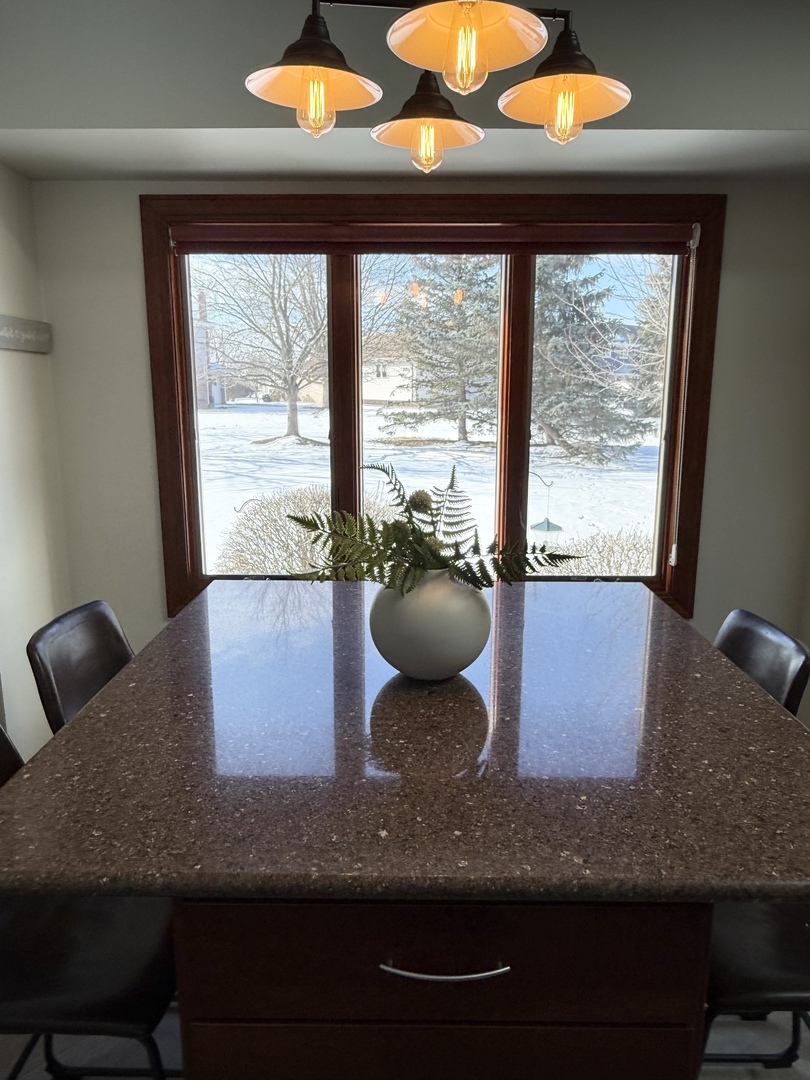 17362 Brook Hill Drive, Orland Park, IL 60467