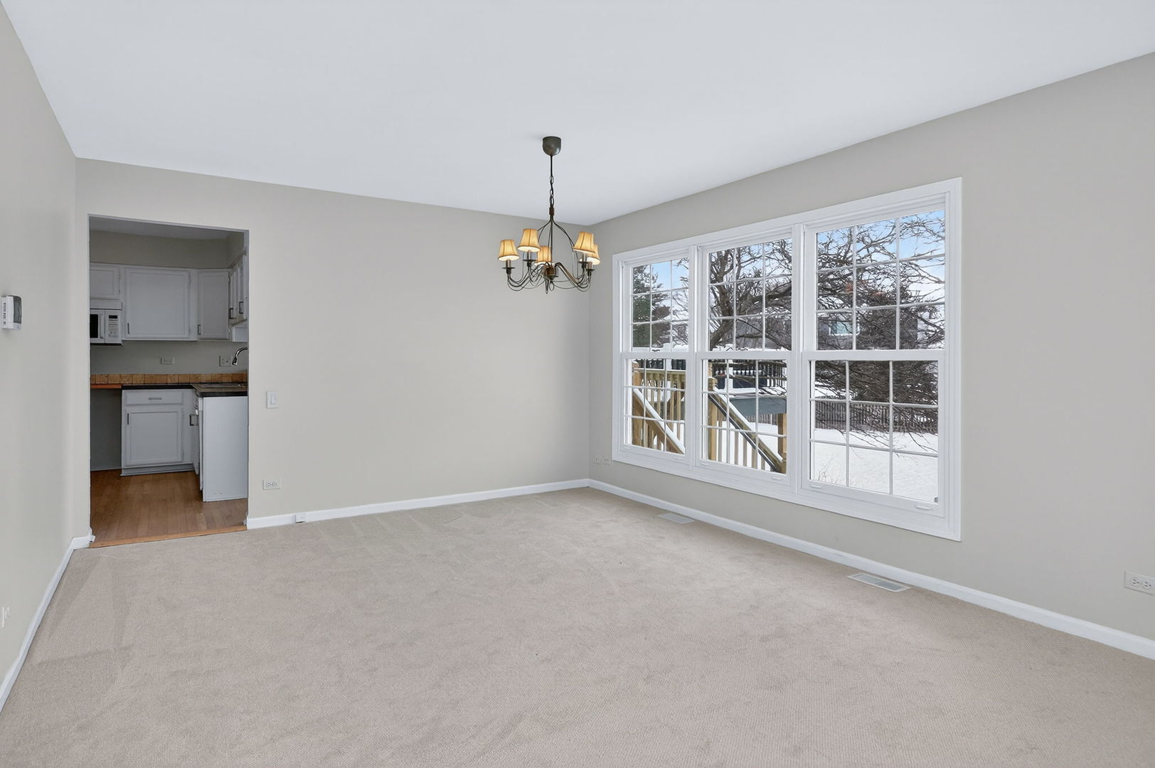 1723 Napoleon Drive, Naperville, IL 60565