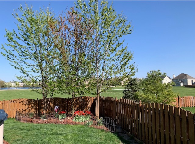 1616 STANTON Lane, Plainfield, IL 60586