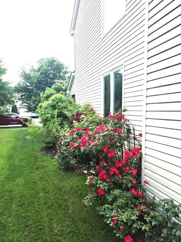 1616 STANTON Lane, Plainfield, IL 60586