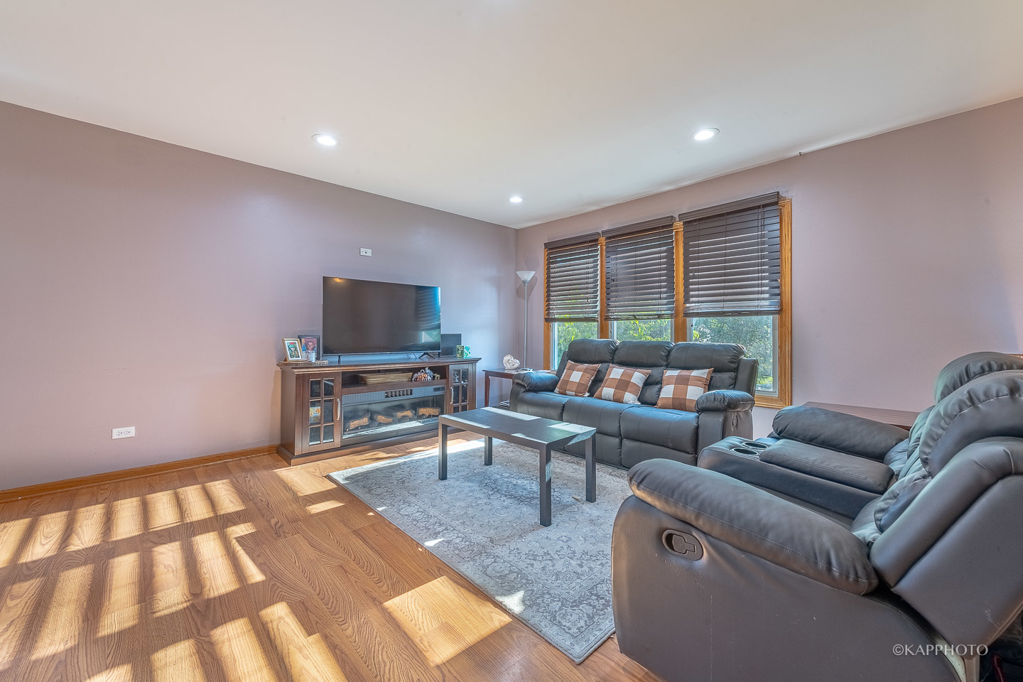 20052 S Sycamore Drive, Frankfort, IL 60423