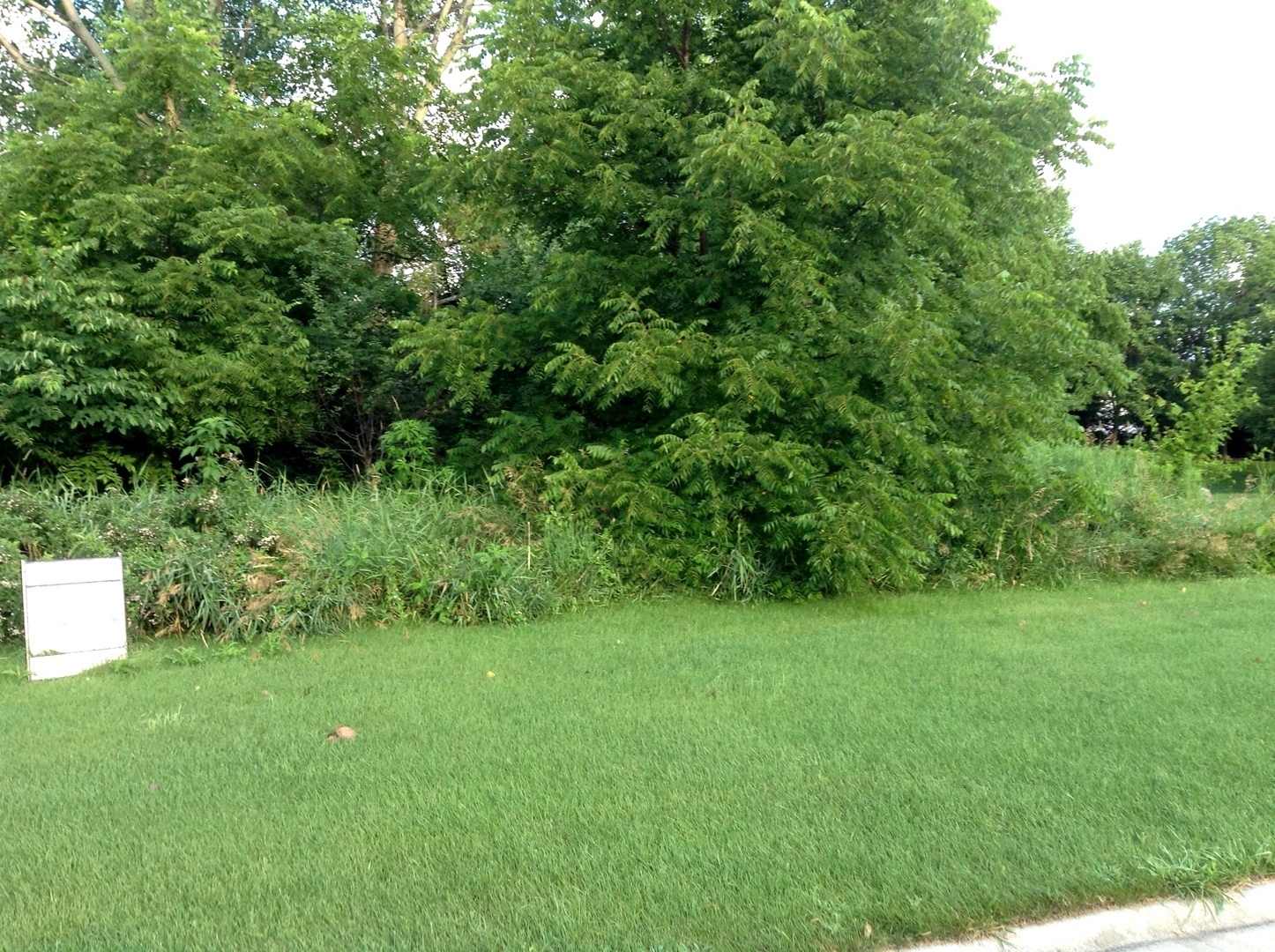 15450 W Purley Court, Homer Glen, IL 60491