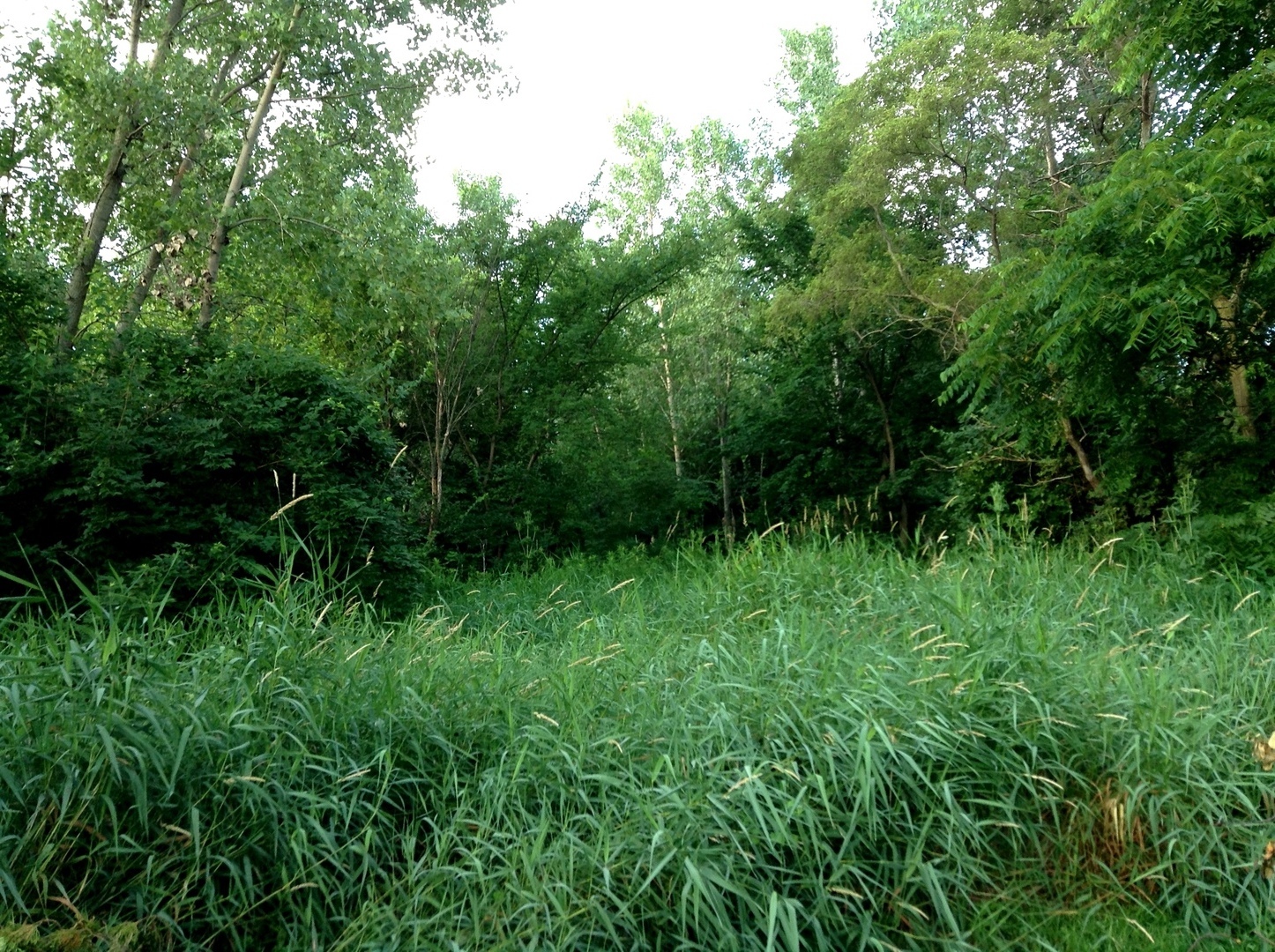 15450 W Purley Court, Homer Glen, IL 60491