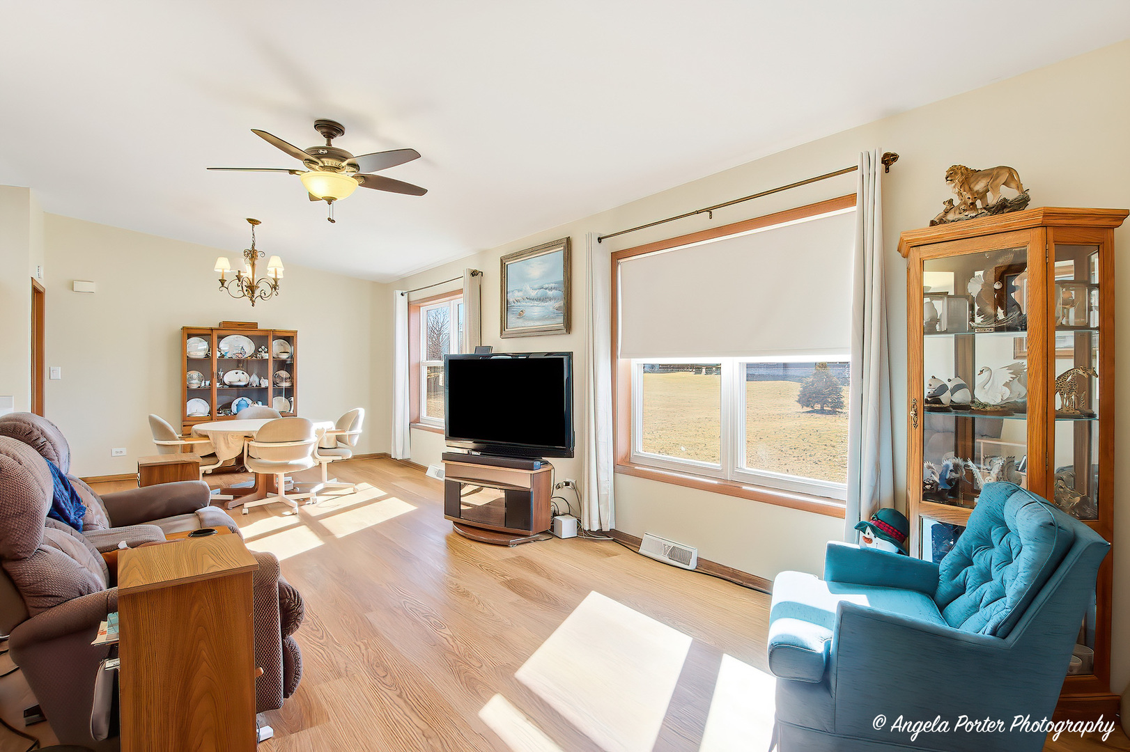 509 Balmoral Court, Grayslake, IL 60030