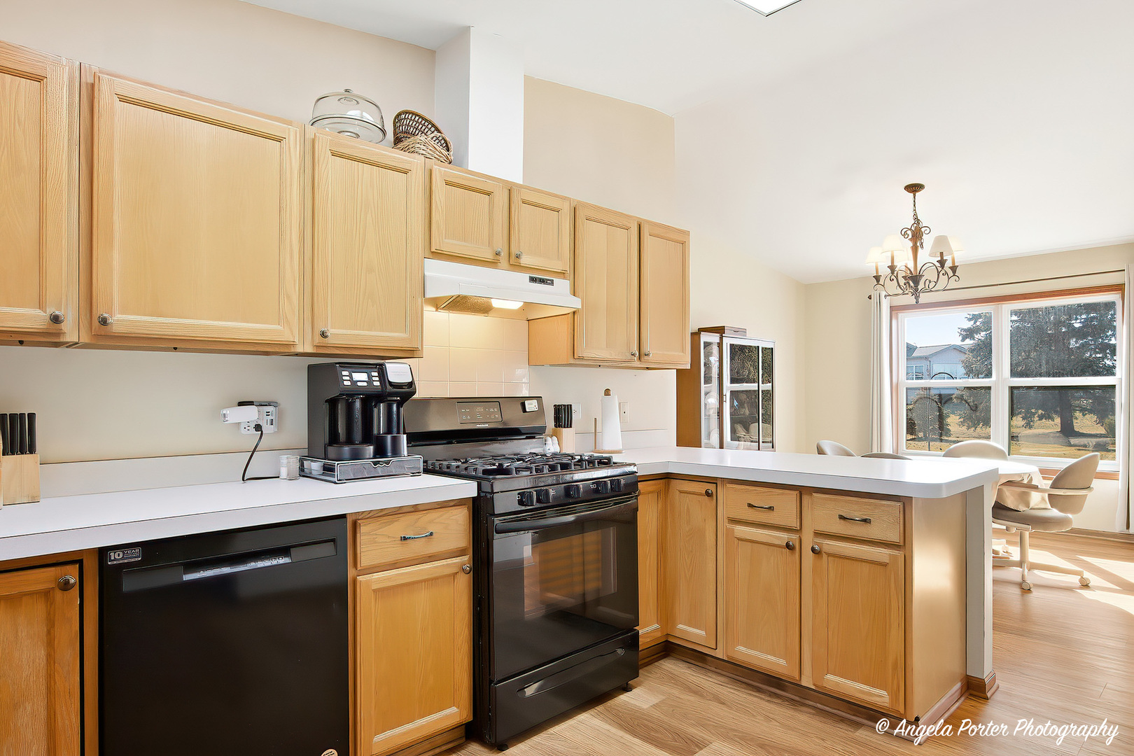 509 Balmoral Court, Grayslake, IL 60030