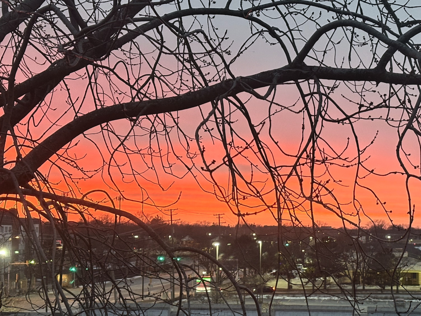 300 E Dundee Road #403A, Buffalo Grove, IL 60089