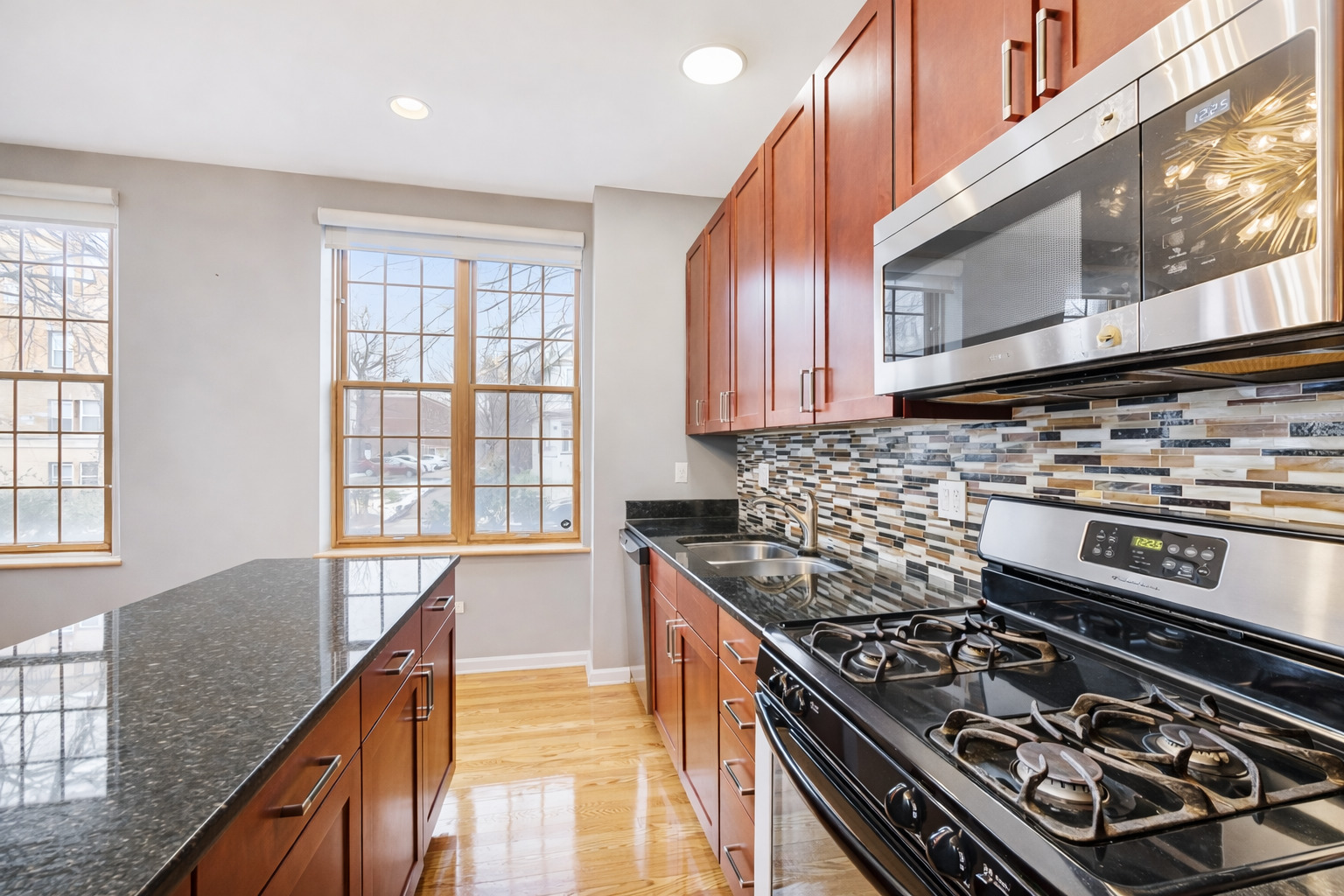 4452 S University Avenue #1S, Chicago, IL 60653