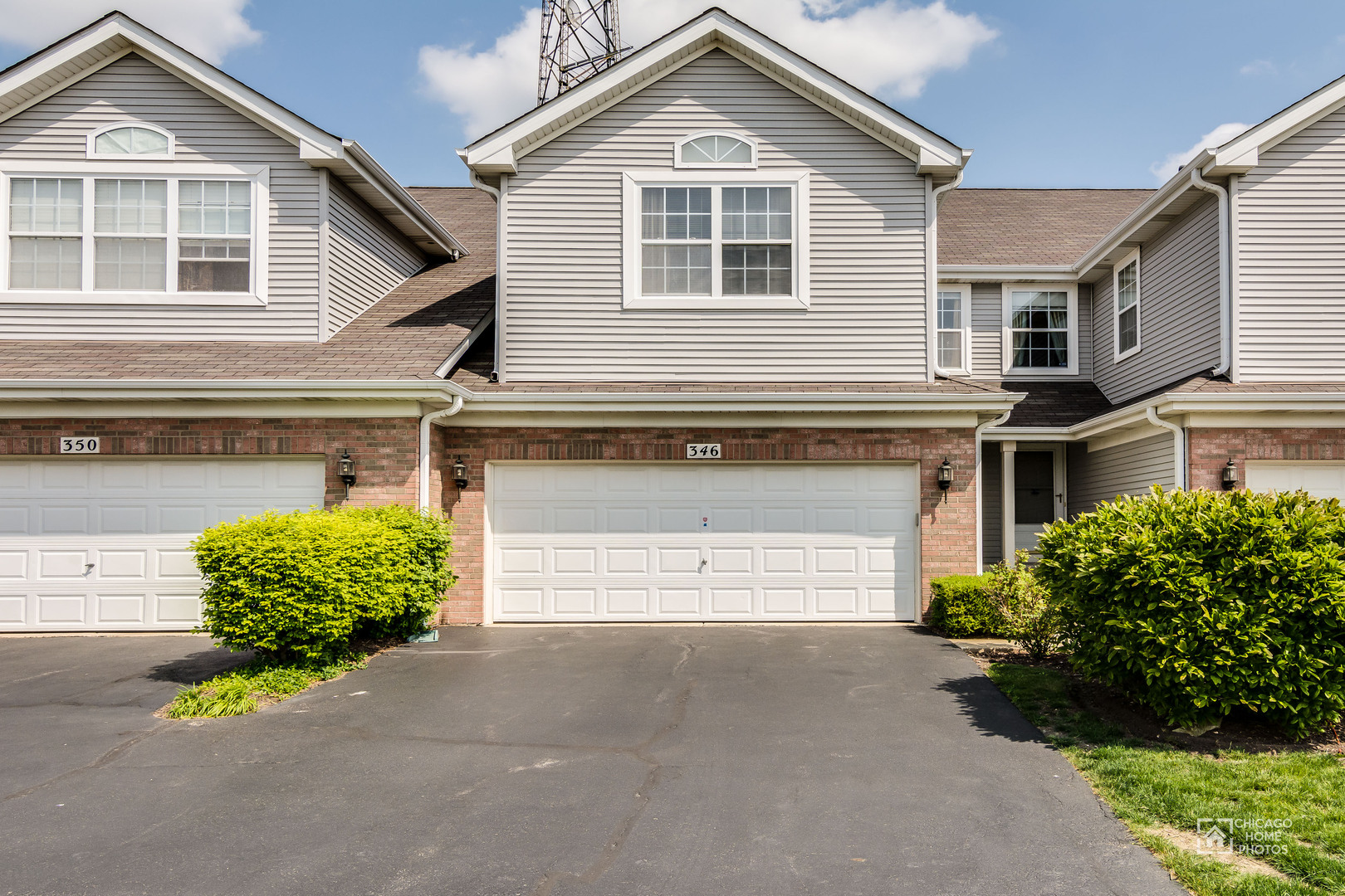 346 Lucille Lane #346, Schaumburg, IL 60193