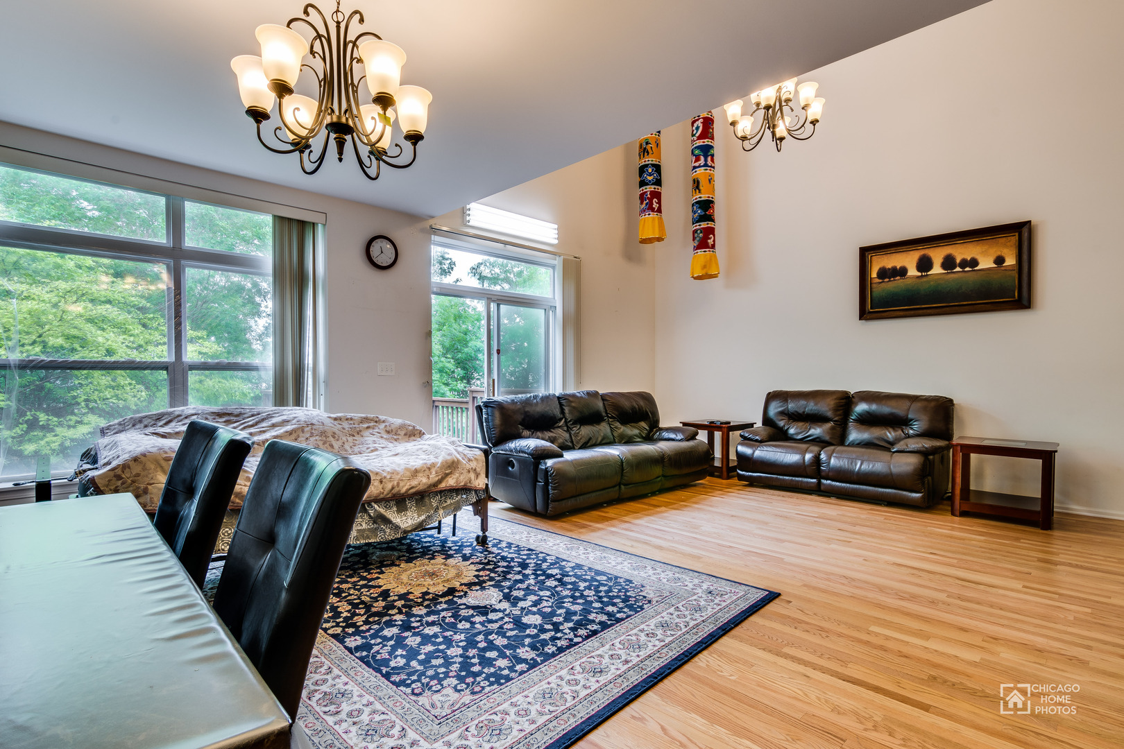 346 Lucille Lane #346, Schaumburg, IL 60193