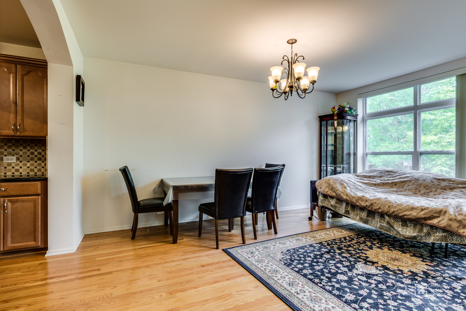 346 Lucille Lane #346, Schaumburg, IL 60193