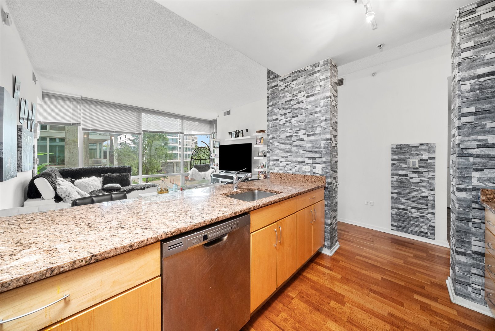 9725 Woods Drive #309, Skokie, IL 60077