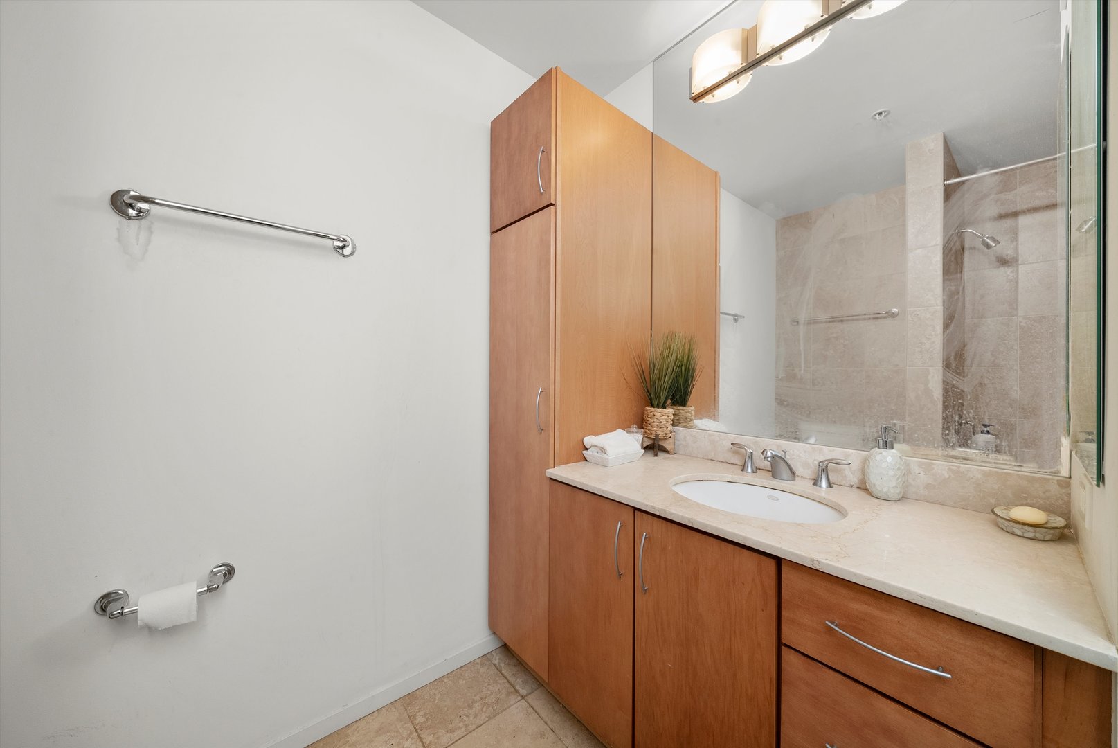 9725 Woods Drive #309, Skokie, IL 60077