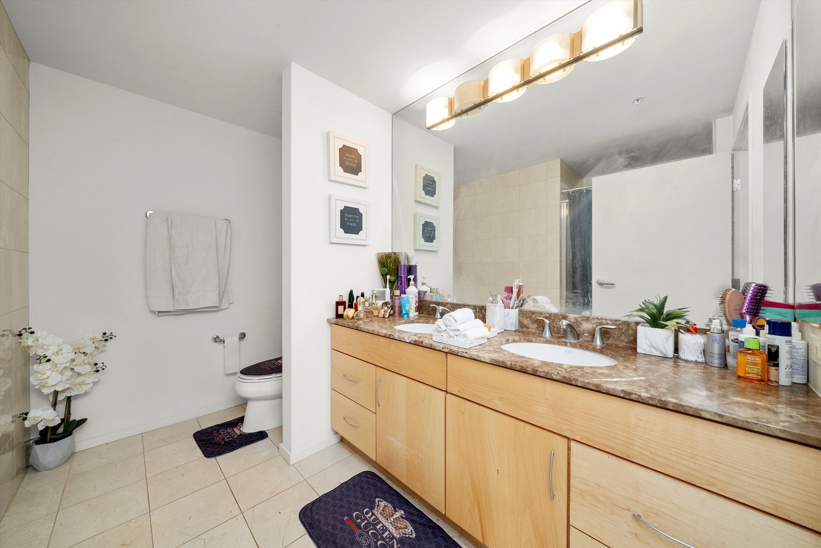 9725 Woods Drive #309, Skokie, IL 60077