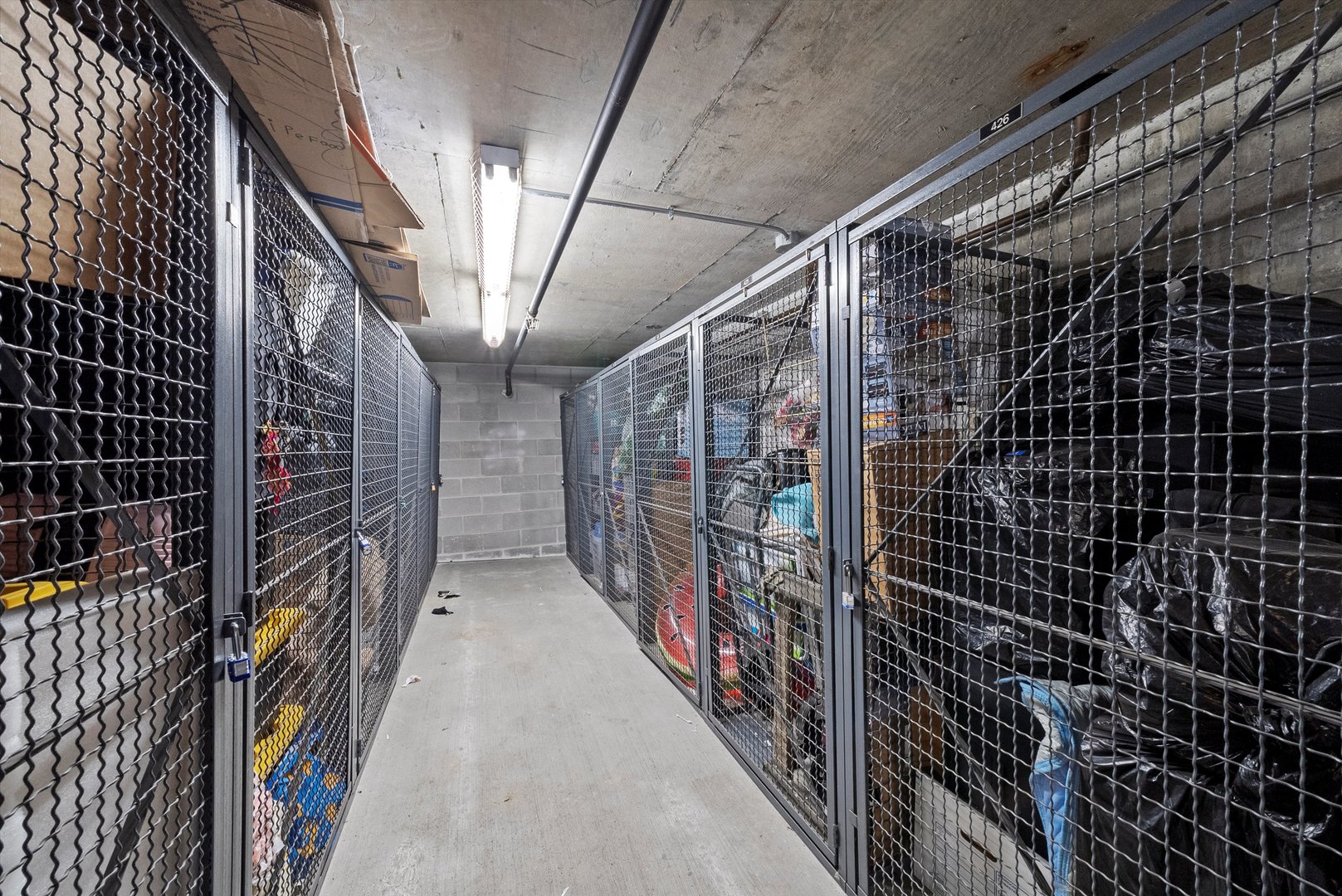 9725 Woods Drive #309, Skokie, IL 60077