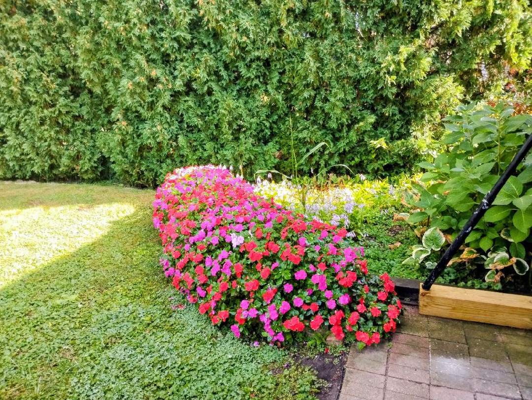 308 Sheldon Avenue, Downers Grove, IL 60515