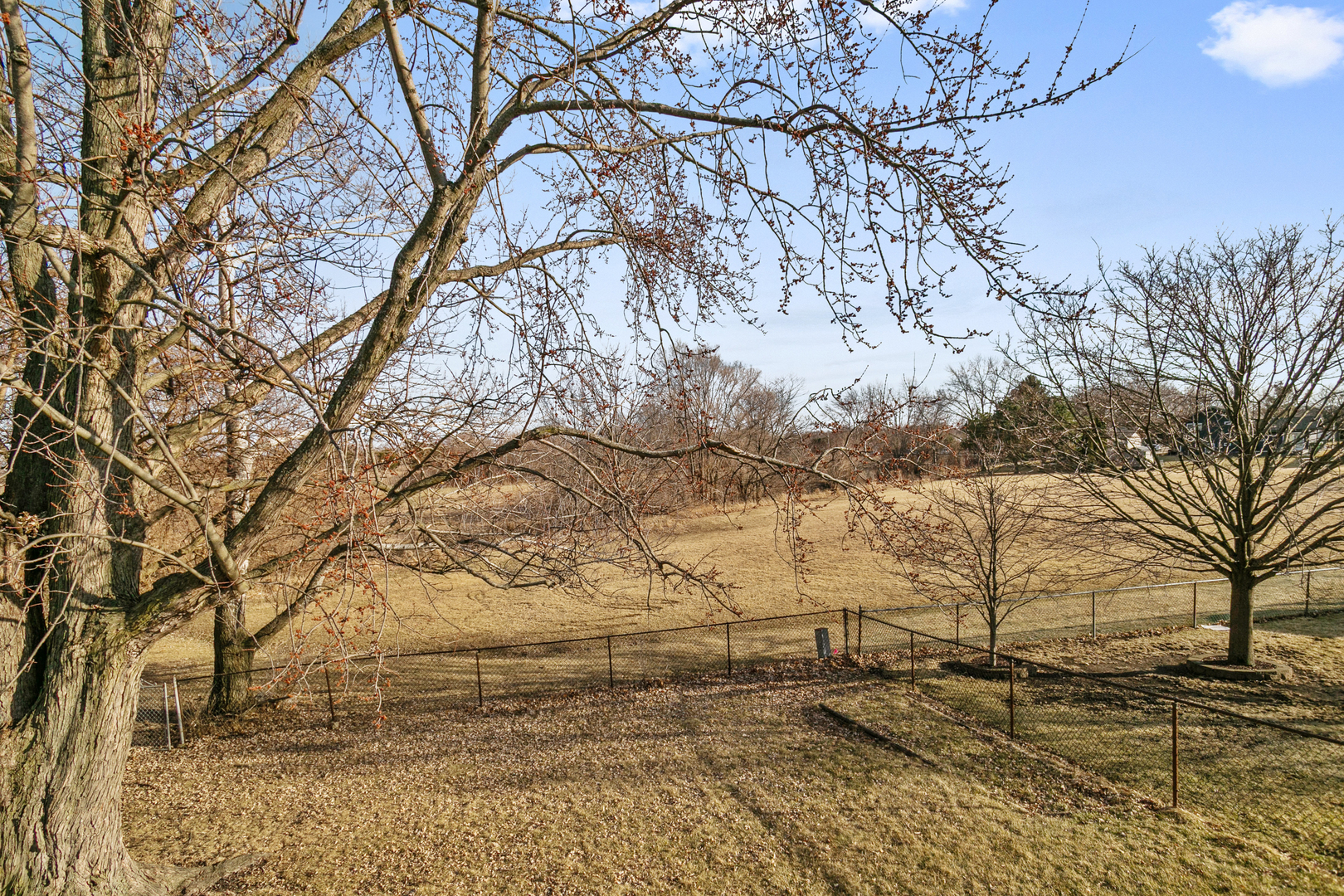 16531 76th Avenue, Tinley Park, IL 60477