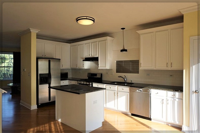 125 Rachel Avenue #505A, Willow Springs, IL 60480