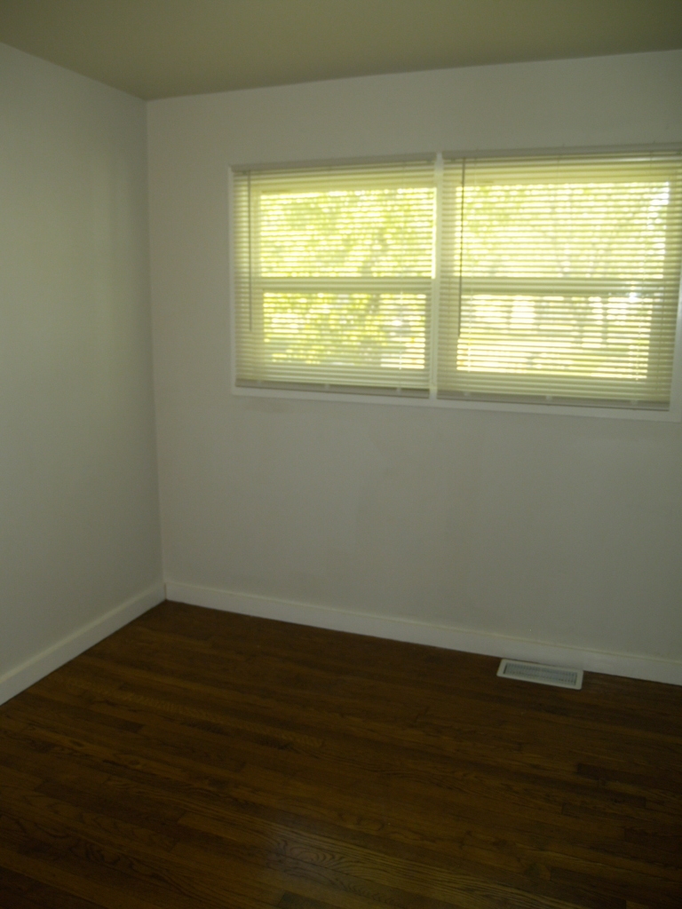 Sauk Village, IL 60411