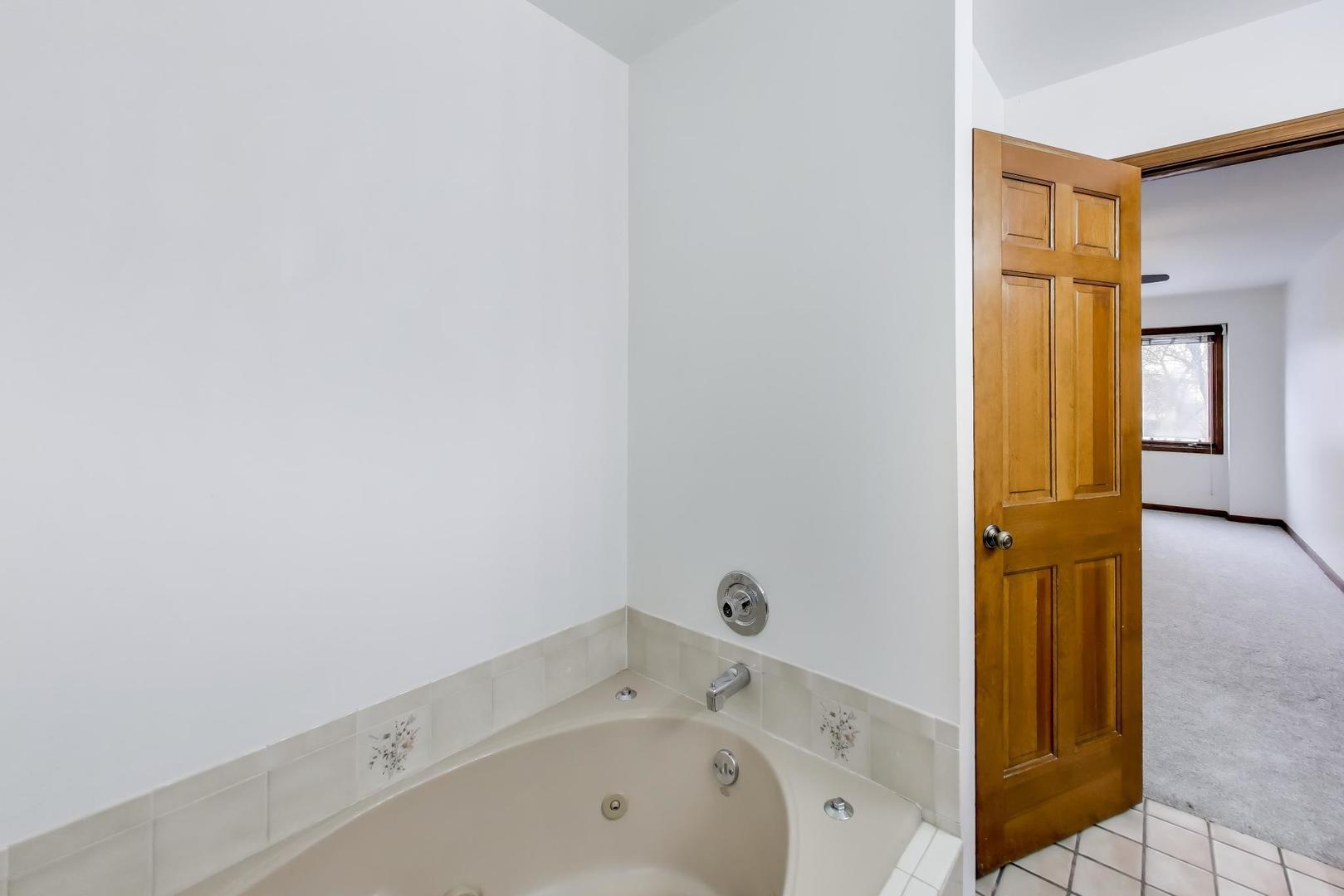 1111 Samstag Court, Naperville, IL 60563