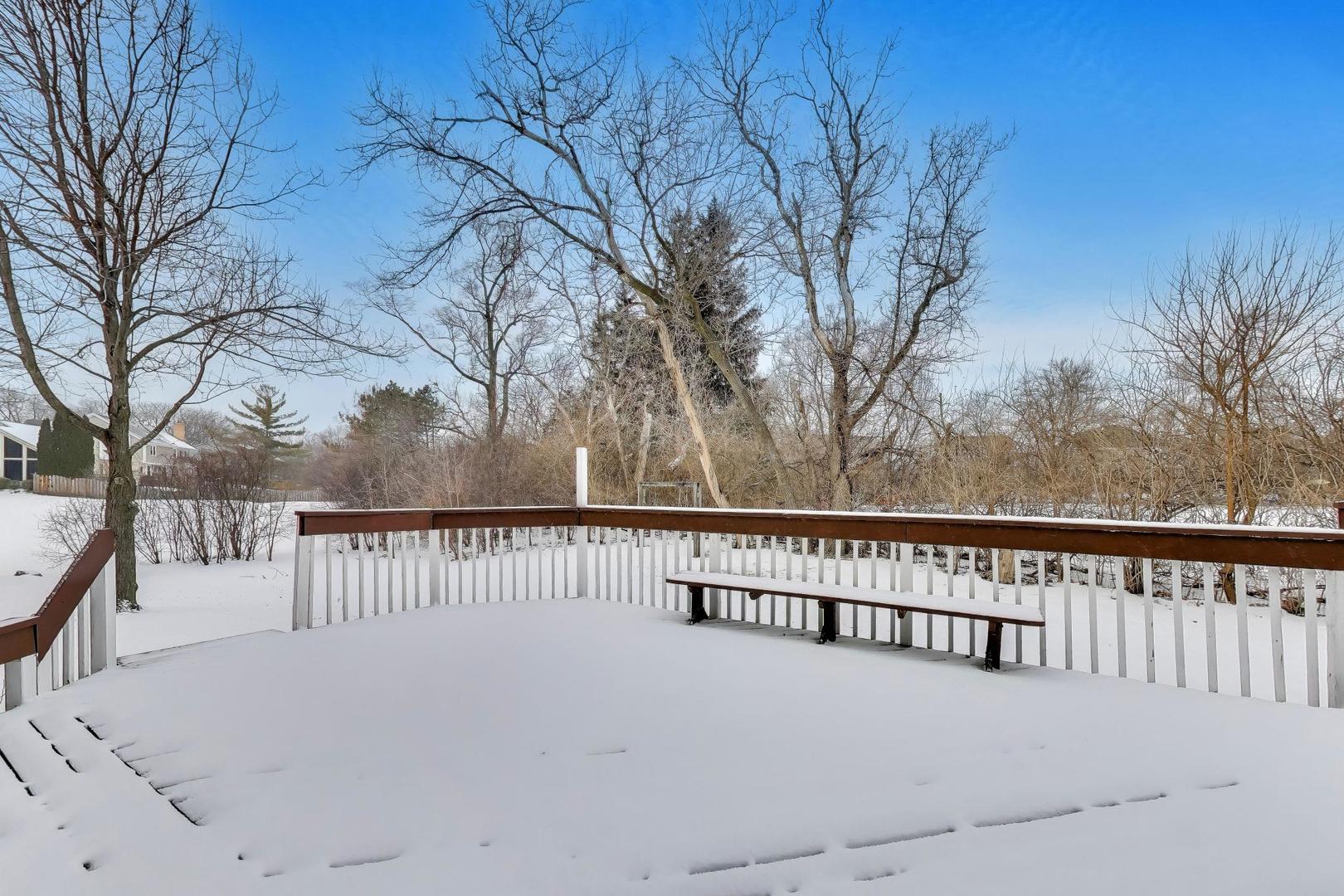 1111 Samstag Court, Naperville, IL 60563