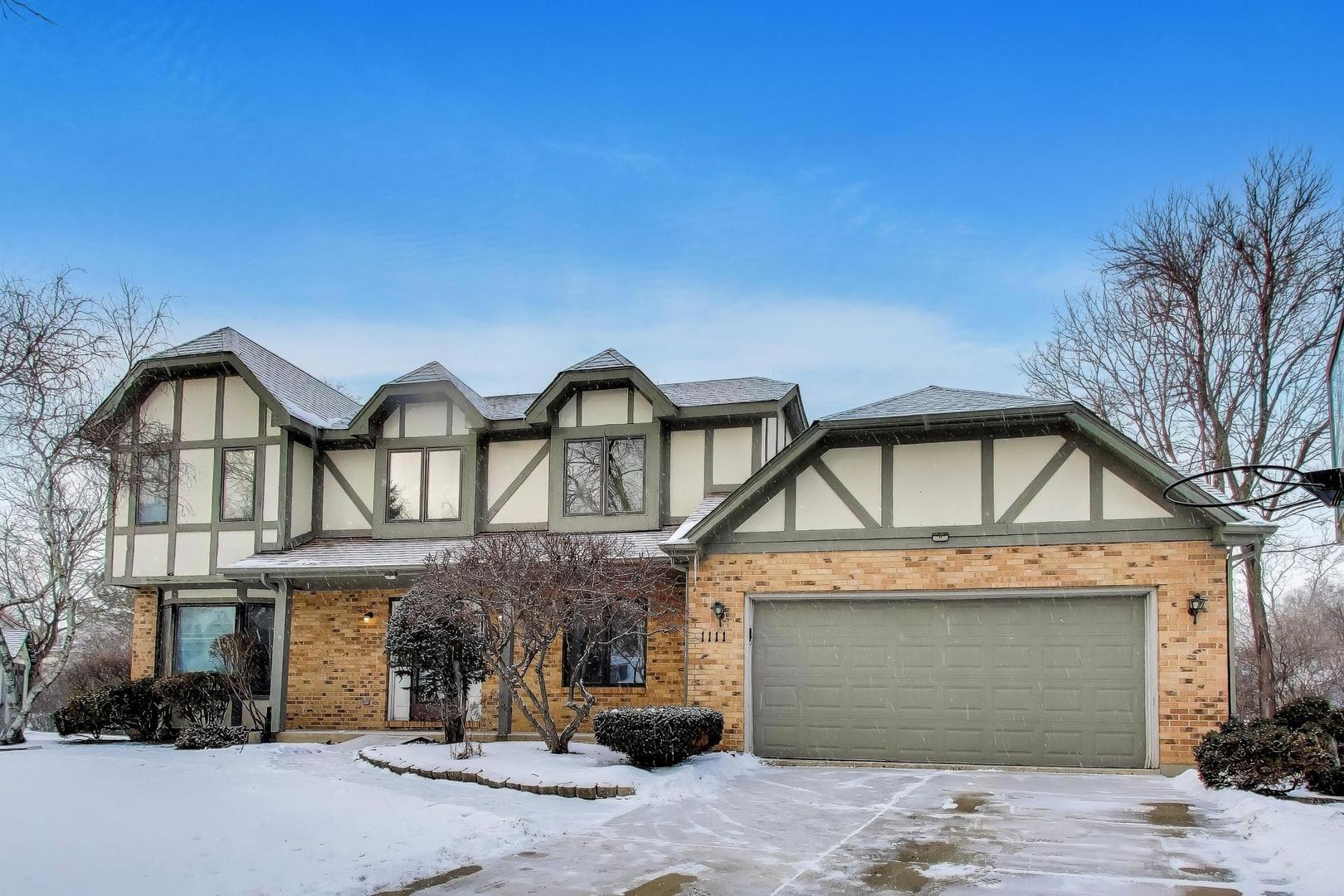 1111 Samstag Court, Naperville, IL 60563