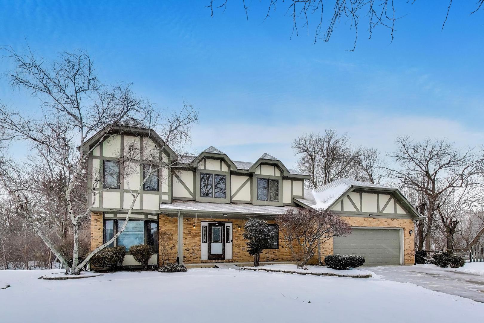 1111 Samstag Court, Naperville, IL 60563