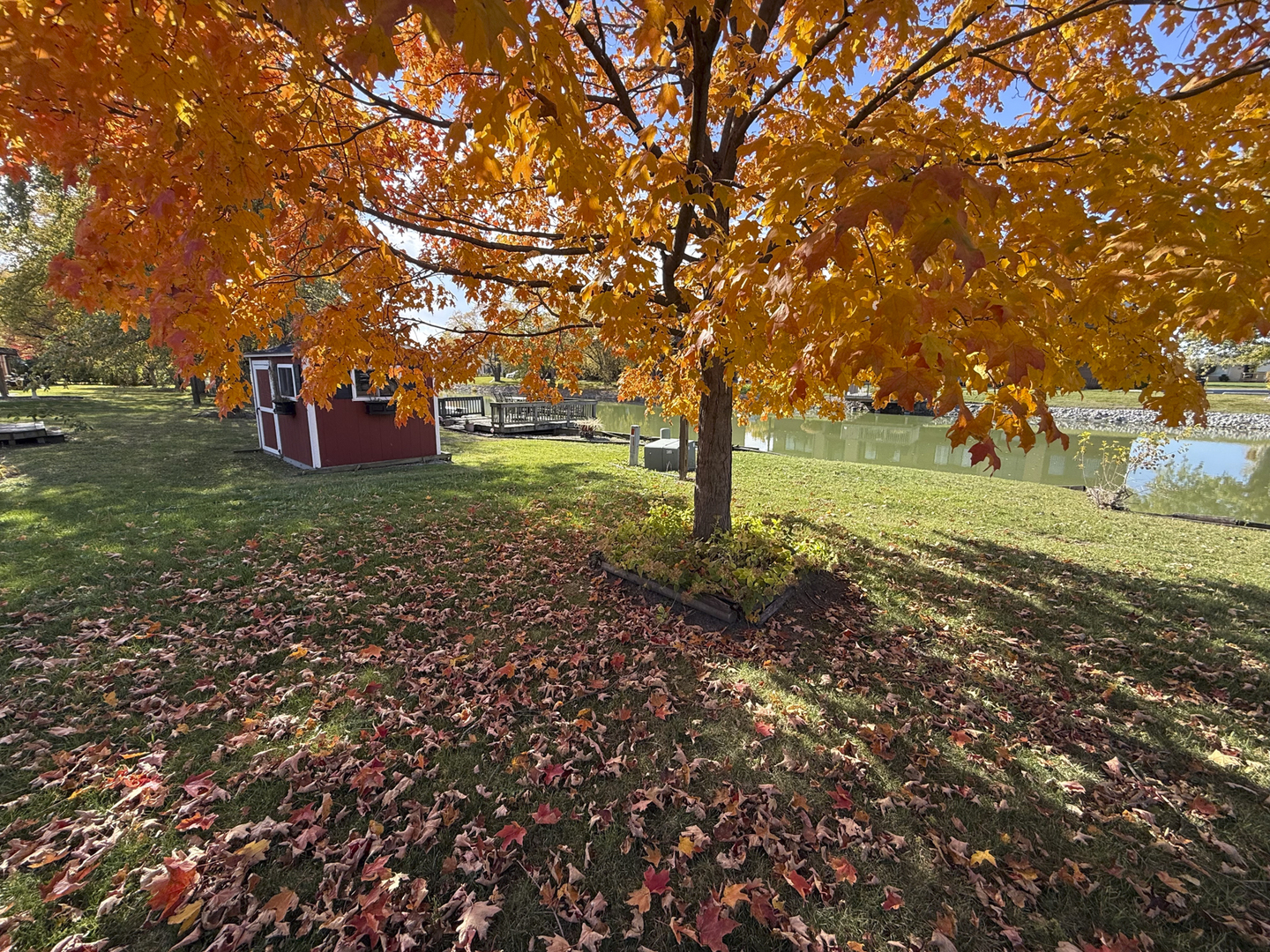 19520 LAKE LYNWOOD Drive, Lynwood, IL 60411