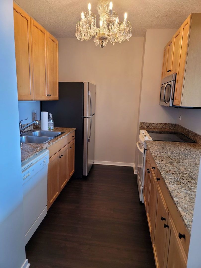 400 N La Salle Drive #911, Chicago, IL 60654