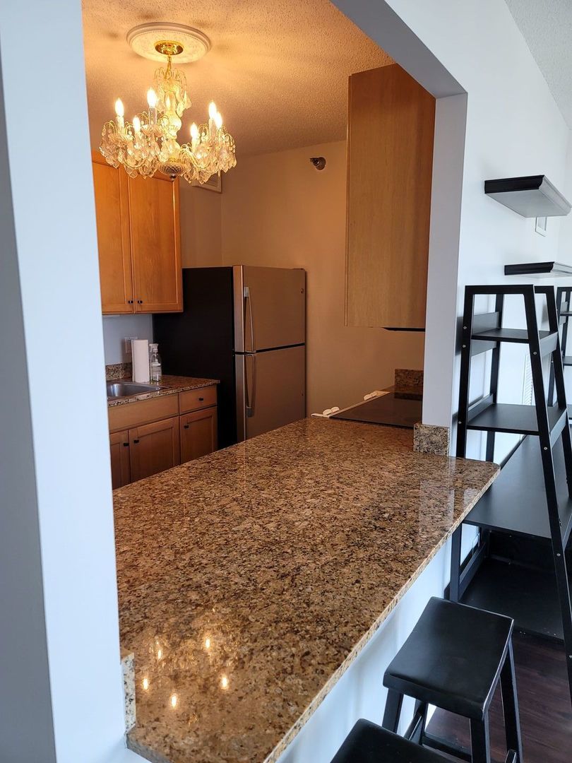 400 N La Salle Drive #911, Chicago, IL 60654