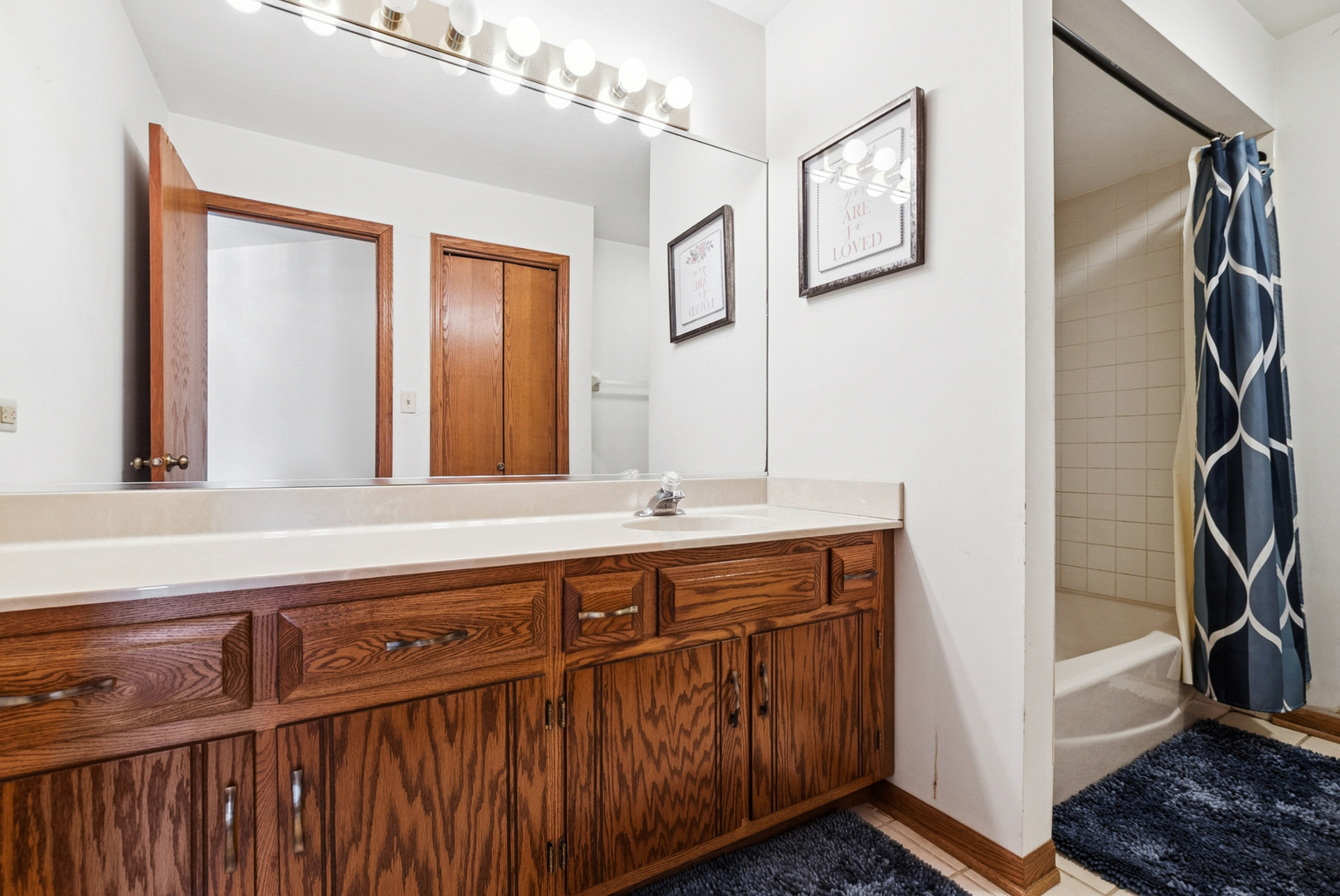 1429 Woodhollow Drive, Flossmoor, IL 60422