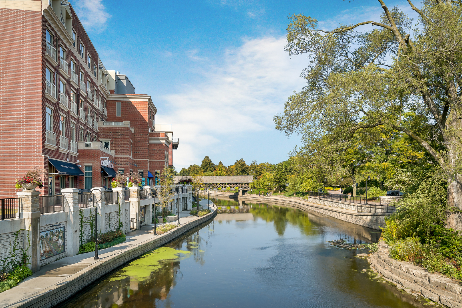 362 Ripley Court, Naperville, IL 60565