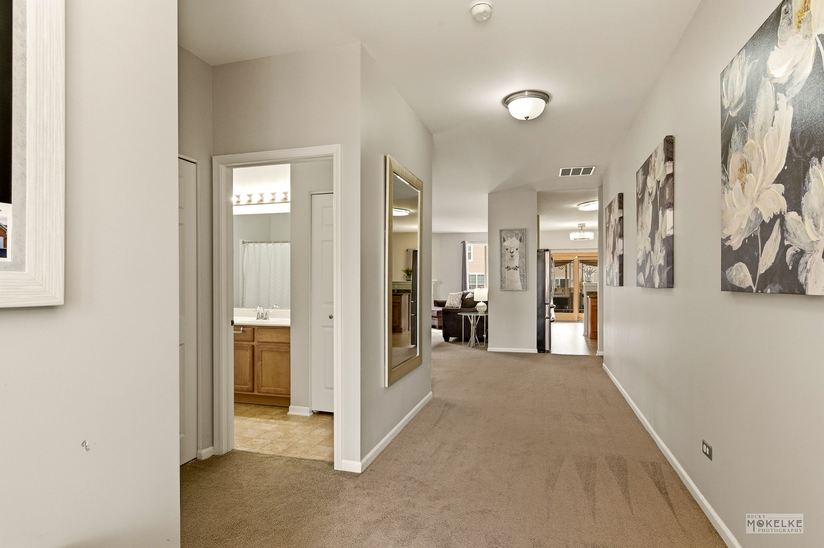 2113 Tremont Lane, Joliet, IL 60431