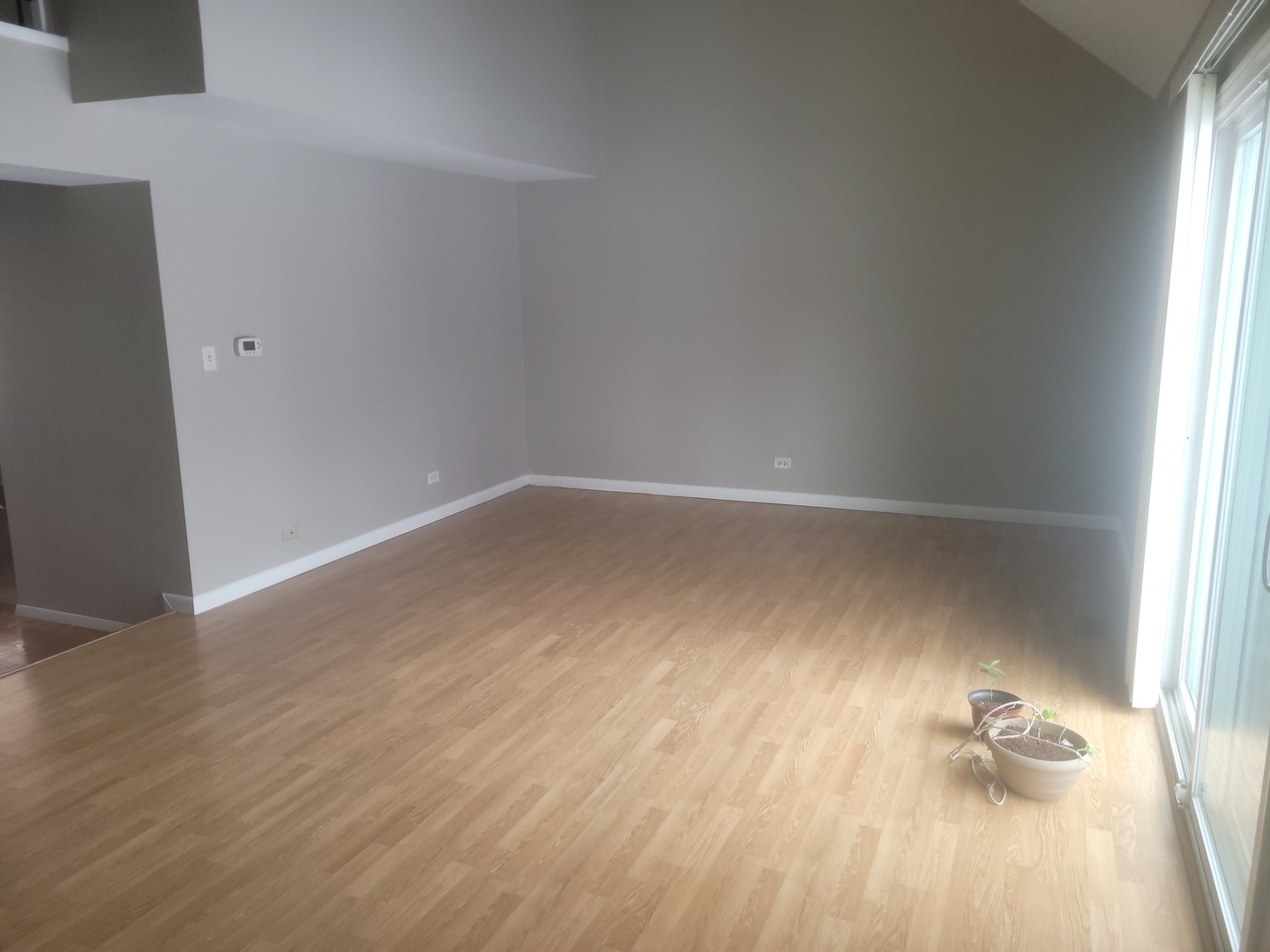 6835 Plumtree Lane, Hanover Park, IL 60133