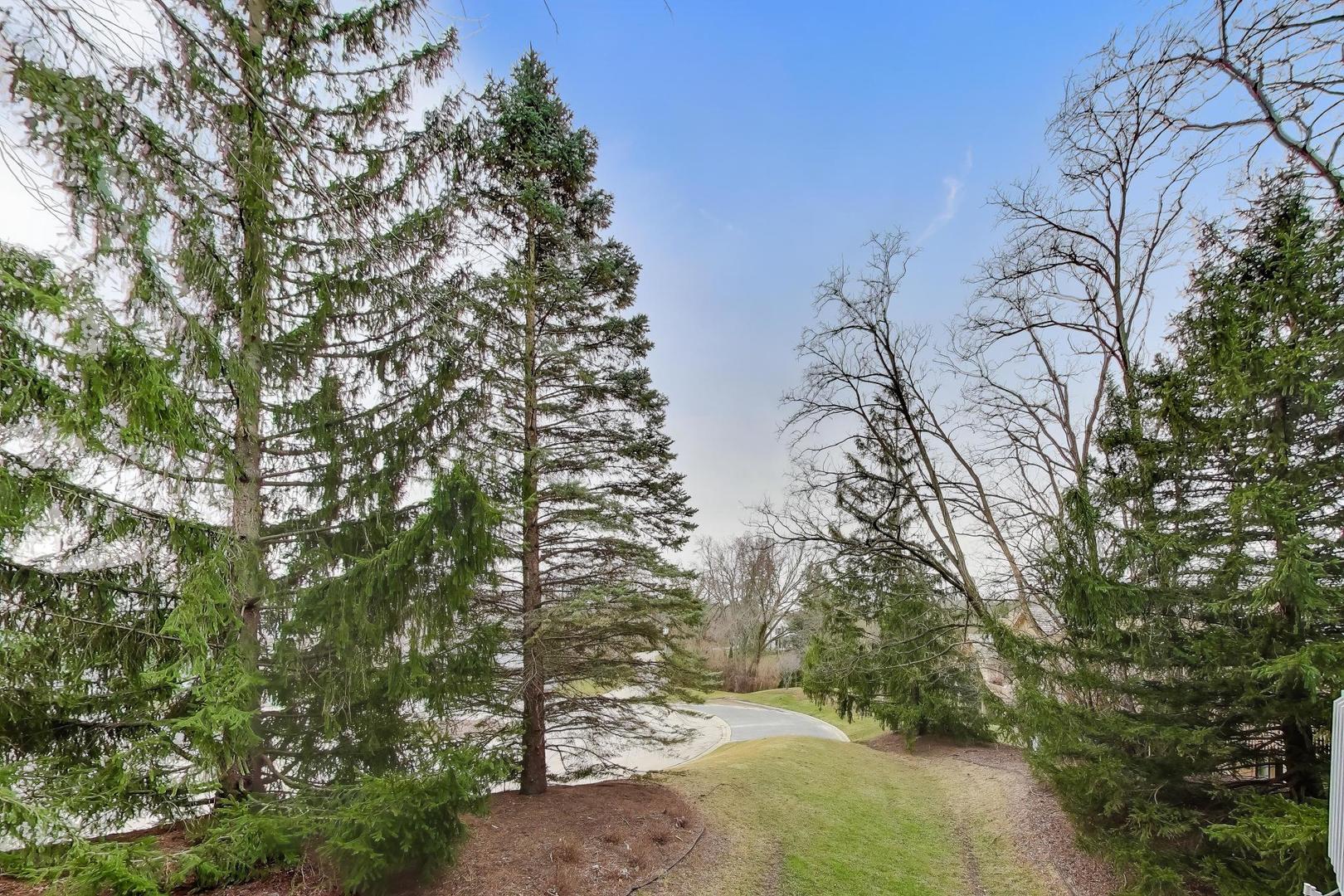 22 Rodeo Drive, Burr Ridge, IL 60527