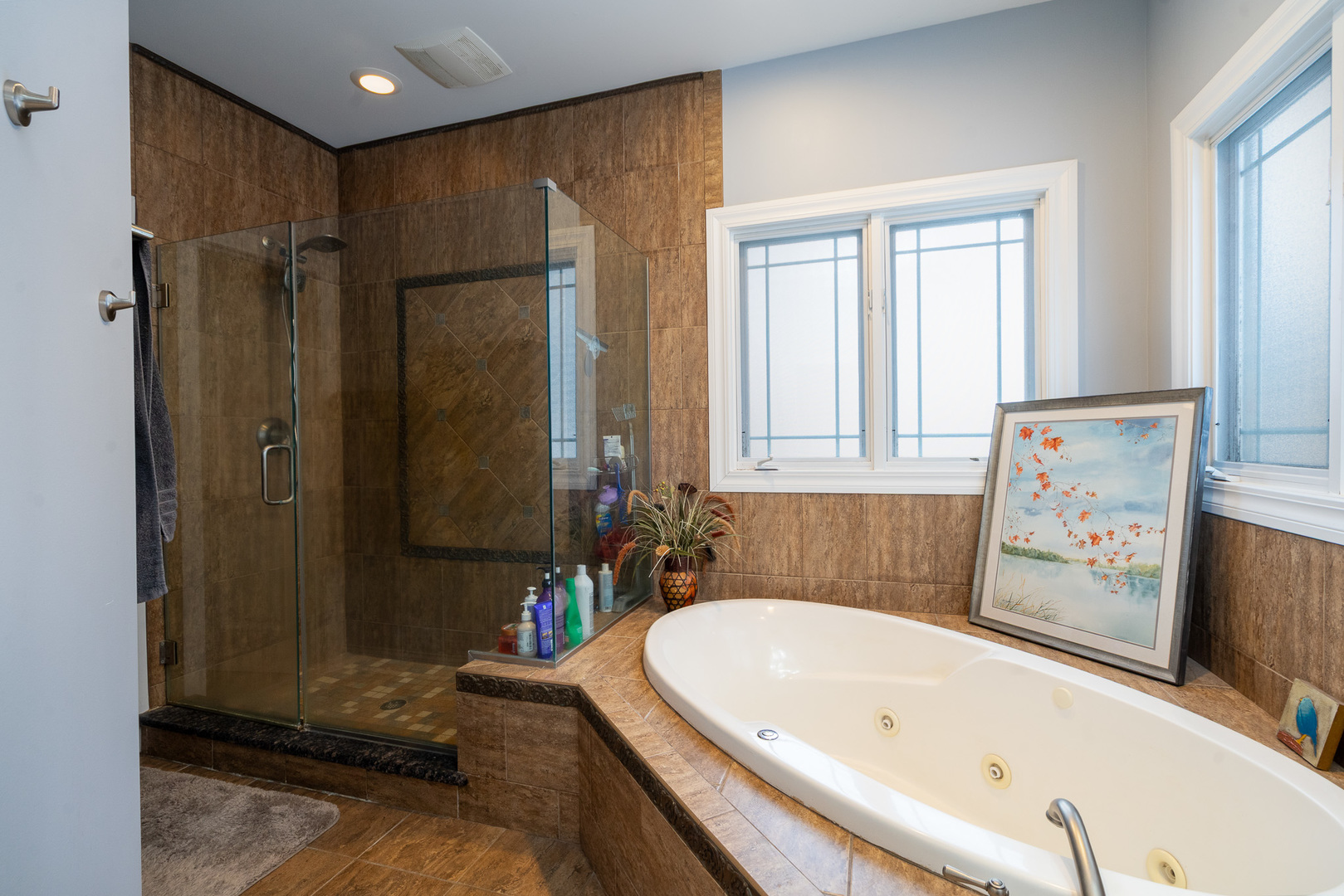 12165 W Castle Drive, Mokena, IL 60448