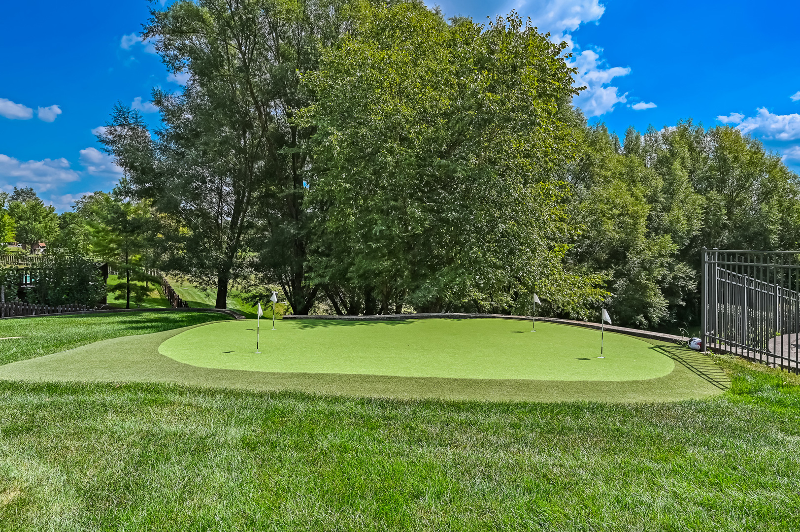 12165 W Castle Drive, Mokena, IL 60448