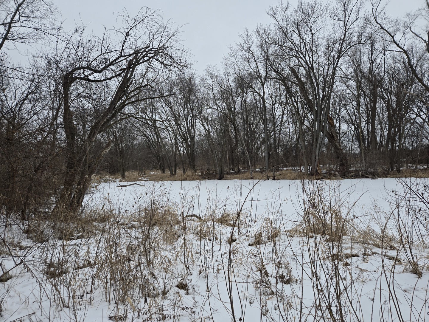 18010 Il Route 176, Union, IL 60180