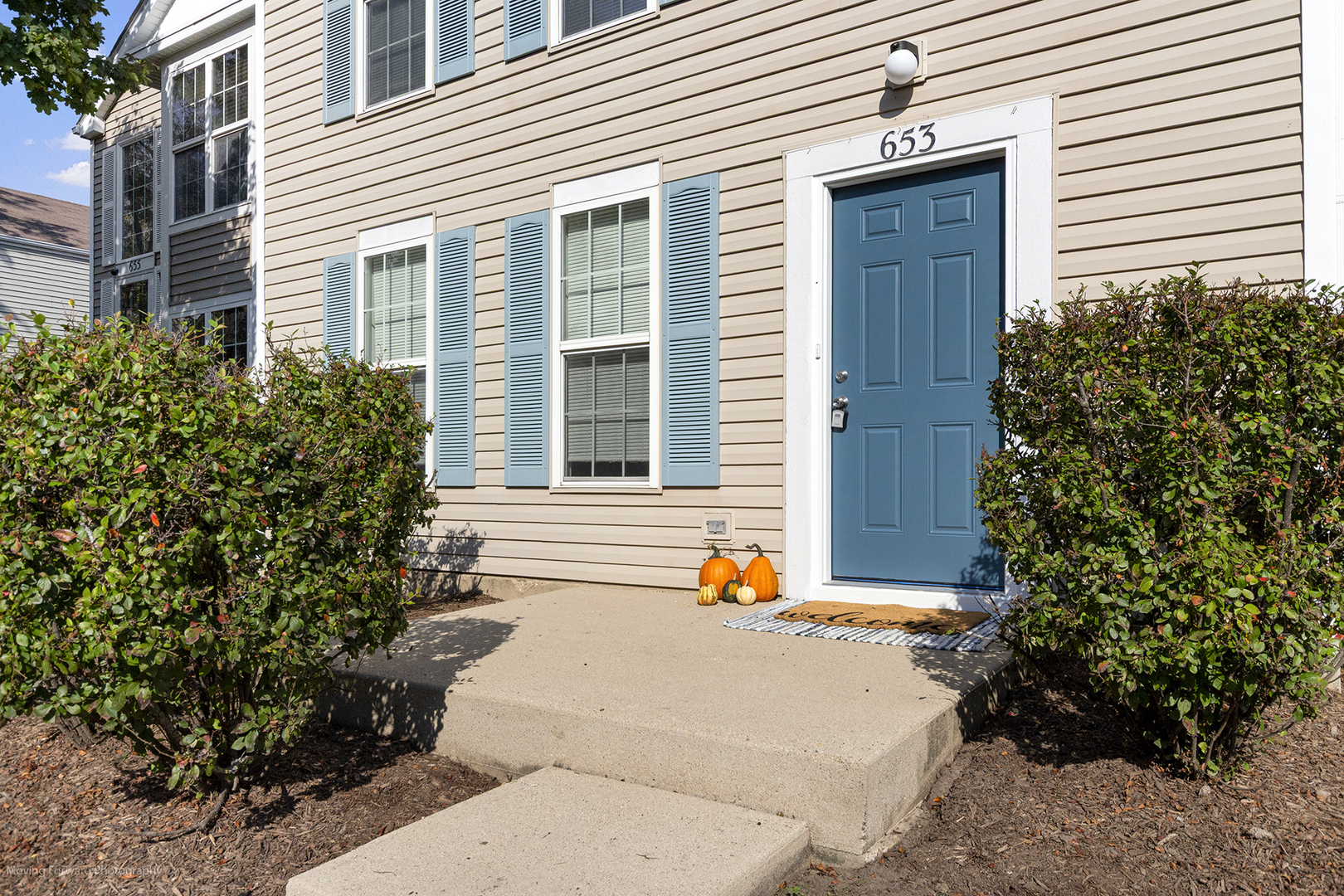 653 Serendipity Drive, Aurora, IL 60504