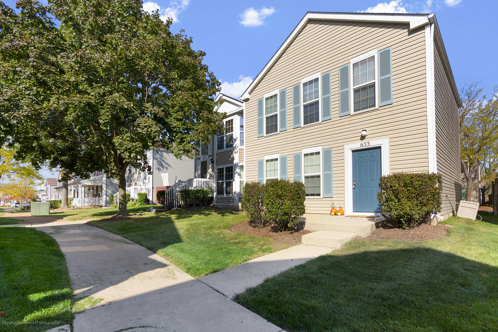 653 Serendipity Drive, Aurora, IL 60504