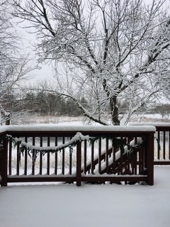 510 Harlowe Lane, Naperville, IL 60565