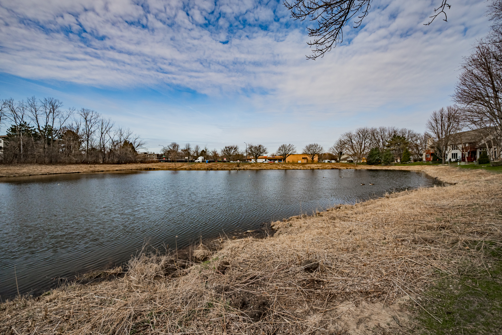 510 Harlowe Lane, Naperville, IL 60565