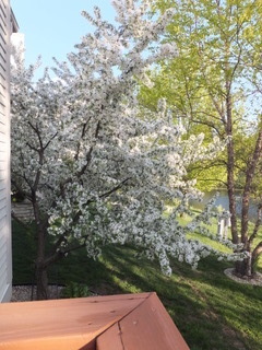 510 Harlowe Lane, Naperville, IL 60565